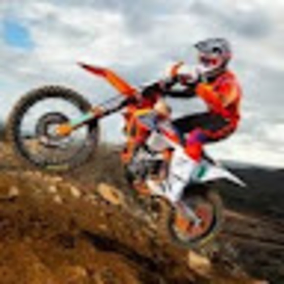 Meet your Posher, Edan - Picture 1 of 1